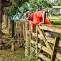 DIY Fence Installation: Is it Worth the Time and Money?
